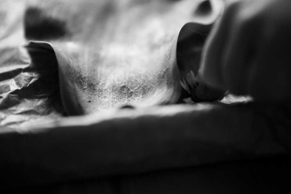 Photographe moselle j5 5